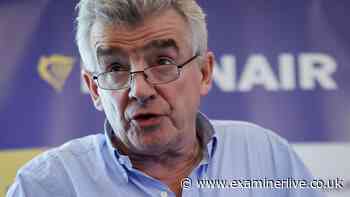 Ryanair boss apologies for controversial 'rapists' comment