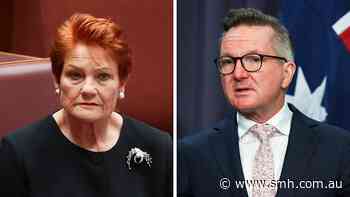 One Nation rails against Bowen. He’s now ready to turn Hanson’s patriotism against her