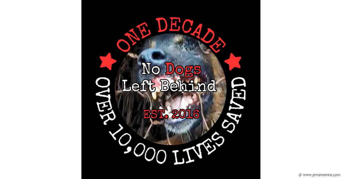 No Dogs Left Behind Celebrates Ten Years, Over 10,000 Live Saved