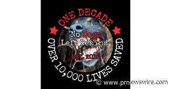 No Dogs Left Behind Celebrates Ten Years, Over 10,000 Live Saved