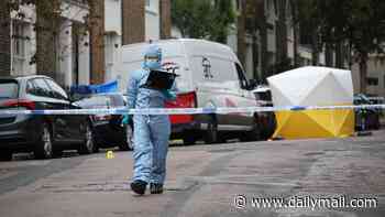 Police launch murder probe after man, 28, is stabbed to death on Islington millionaire's row