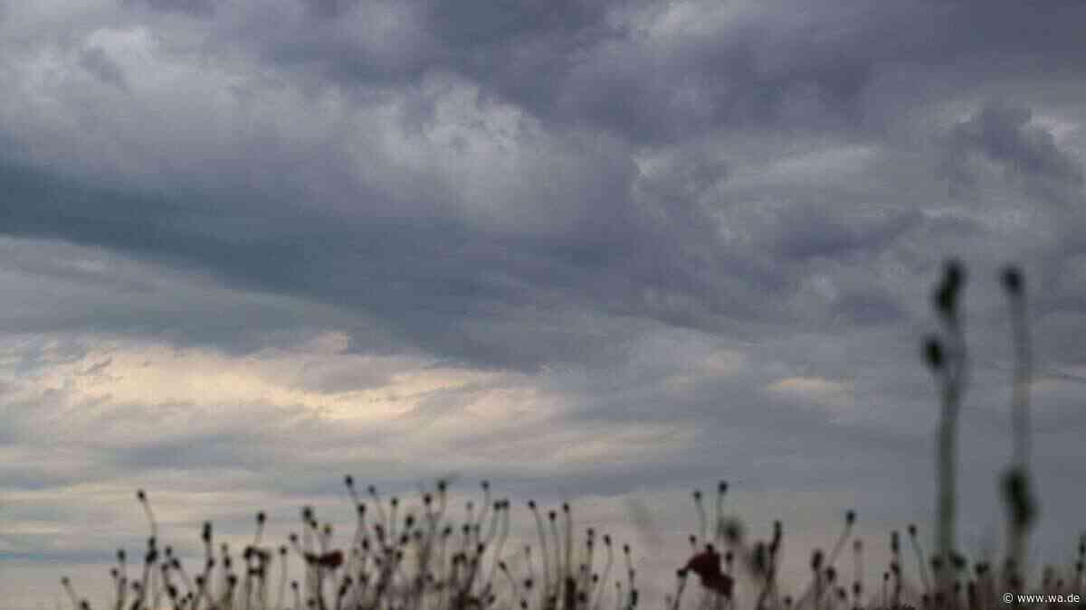 Laut uralter Bauernregel: Dieser Septembertag soll das Wetter der nächsten Monate bestimmen