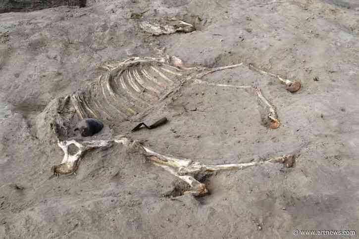 New Discoveries at Ancient Egyptian Fort Include Ceremonial Burial of a Horse
