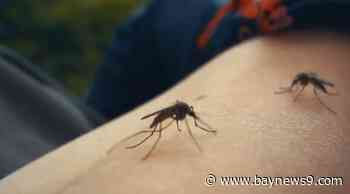 State health department says there are now 134 dengue fever cases in Hillsborough County