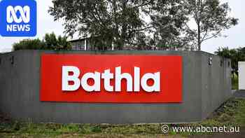 Bathla's books show company was $736m out