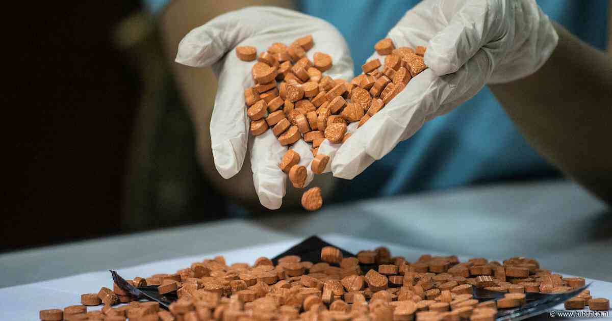 Vier Nederlanders aangehouden na vondst groot drugslaboratorium in Belgisch Bree