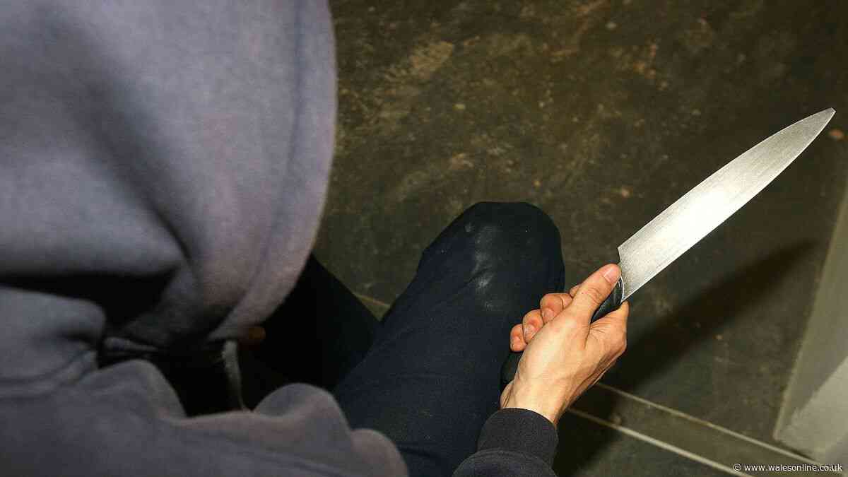 Six areas in Wales to be targeted in knife crime clampdown