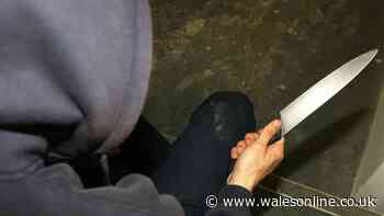 Six areas in Wales to be targeted in knife crime clampdown
