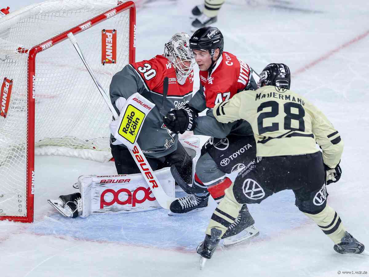DEL: Kölner Haie verlieren gegen Grizzlys Wolfsburg