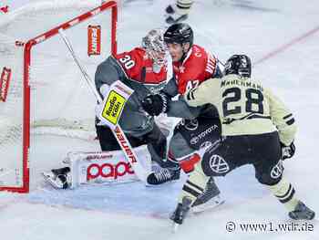 DEL: Kölner Haie verlieren gegen Grizzlys Wolfsburg