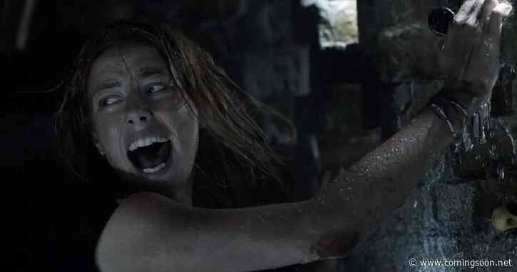 Crawl 2 Release Date for Killer Alligator Movie’s Sequel With Emily Rudd