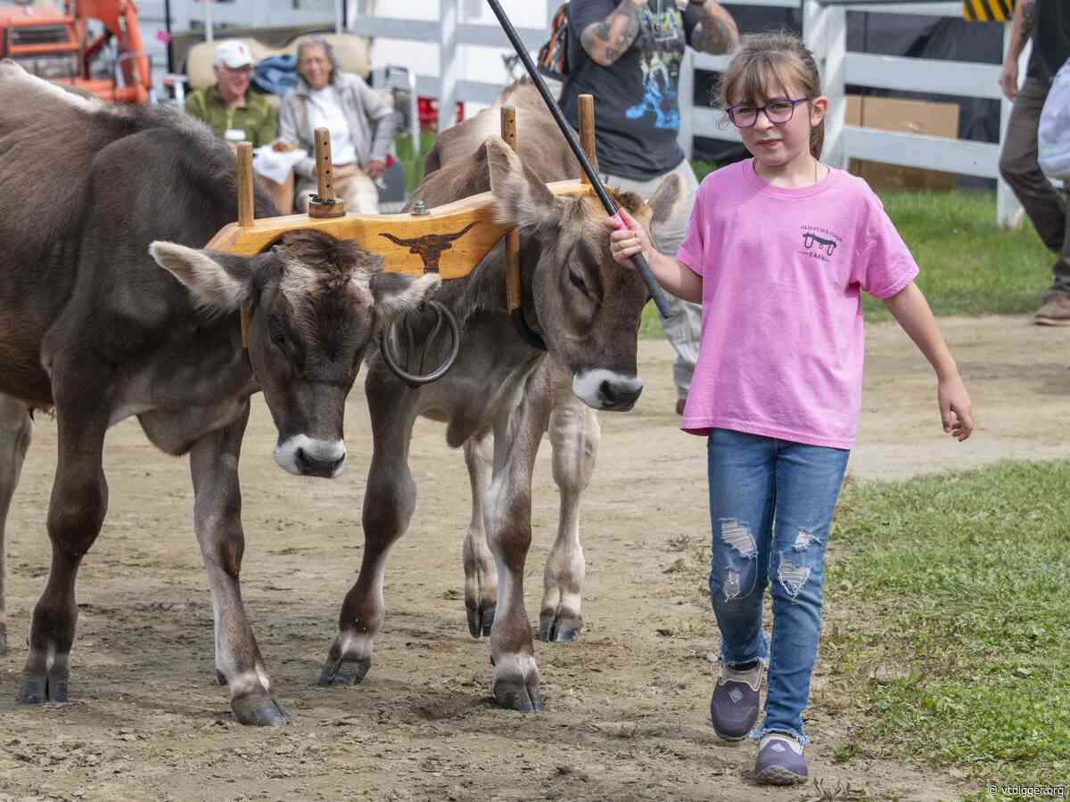 Pre-dawn calf washes and tail fluffing: Scenes from opening day at Tunbridge World’s Fair 