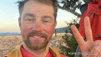 Ultra-cyclist killed in Germany after 'crashing into deer' as bike is torn apart