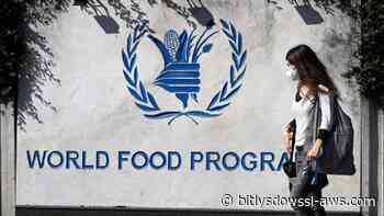 La ONU designa al candidato de Trump para dirigir el Programa Mundial de Alimentos