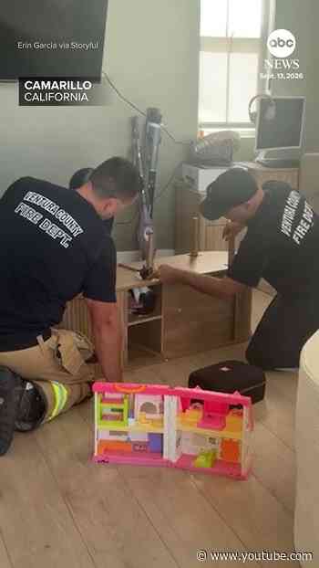 California firefighters rescue panicked kitten trapped in cabinet