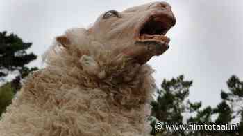 Op deze boerderij vind je geen lieve schaapjes, 'Black Sheeps' laat zombieschapen los en dit is de trailer