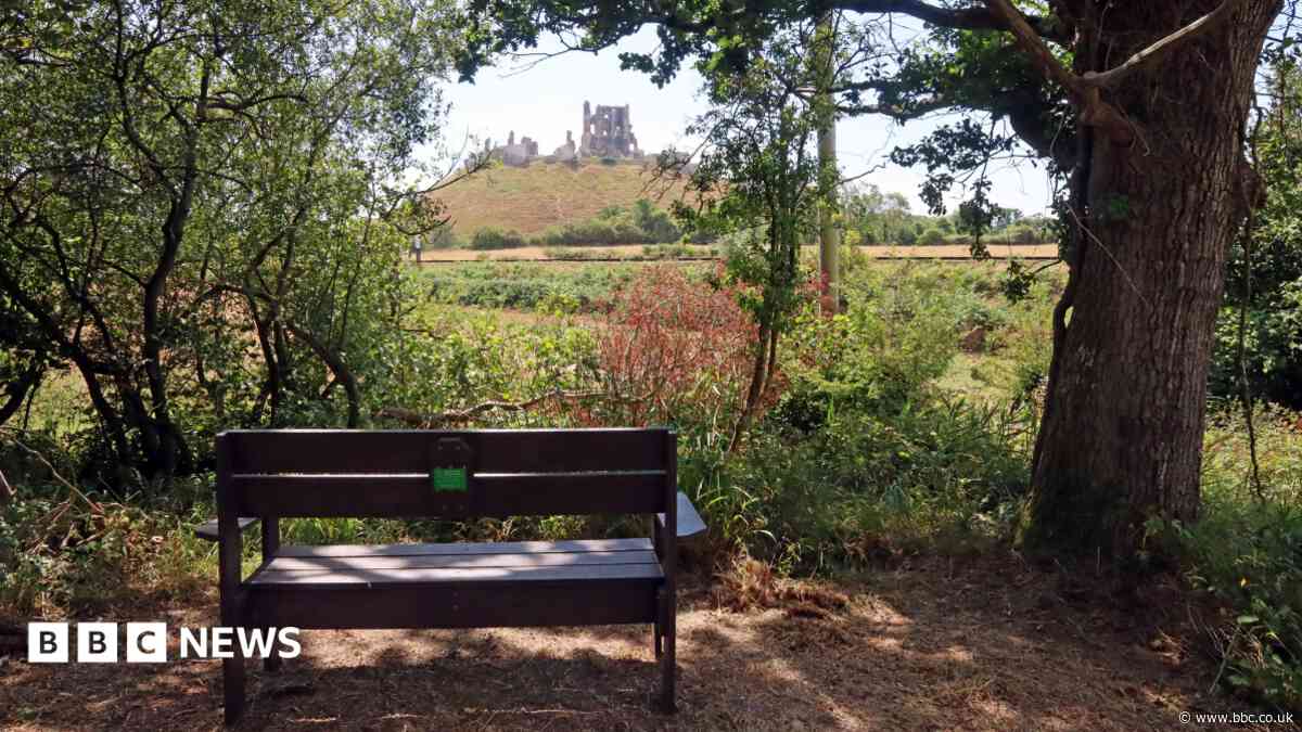 New Dorset trail explores the story of ball clay