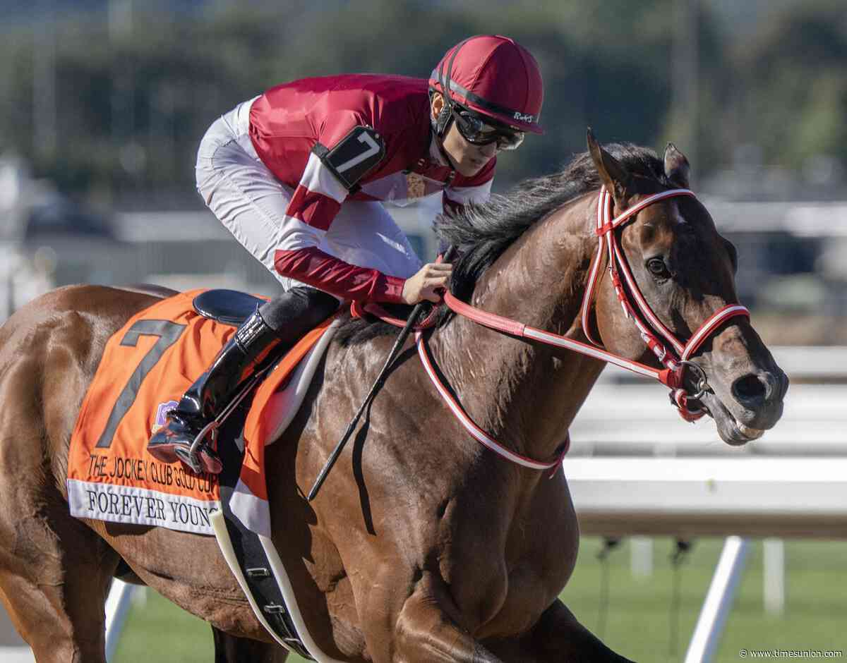 Forever Young shines in Jockey Club Gold Cup victory on Belmont's reopening day