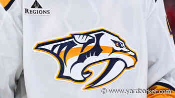 Predators’ Vitali Pinchuk Out With Upper-Body Injury