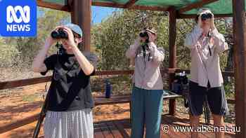 Birdwatching boom connects youth with natural world