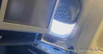 Watch: Images show damage to plane after power bank bursts into flames during flight