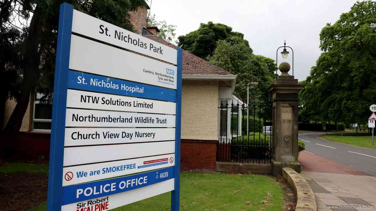 25 Newcastle planning applications including flood defences and tree removal in conservation area