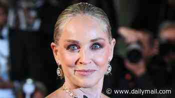 Sharon Stone issues scathing critique of her 1993 film Sliver... after co-star Billy Baldwin vowed to 'never work with her again'