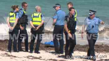 Desperate search for swimmer, 63, killed in horror shark attack at Sorrento Beach enters second day as weather hampers crews