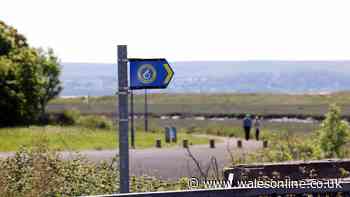 Section of Wales Coast Path in Neath Port Talbot closed due to 'safety risk'