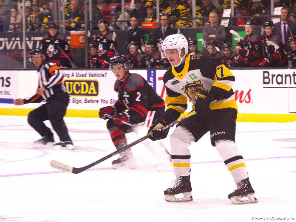 Xavier Lieb shines for Brantford Bulldogs in front of huge fan base