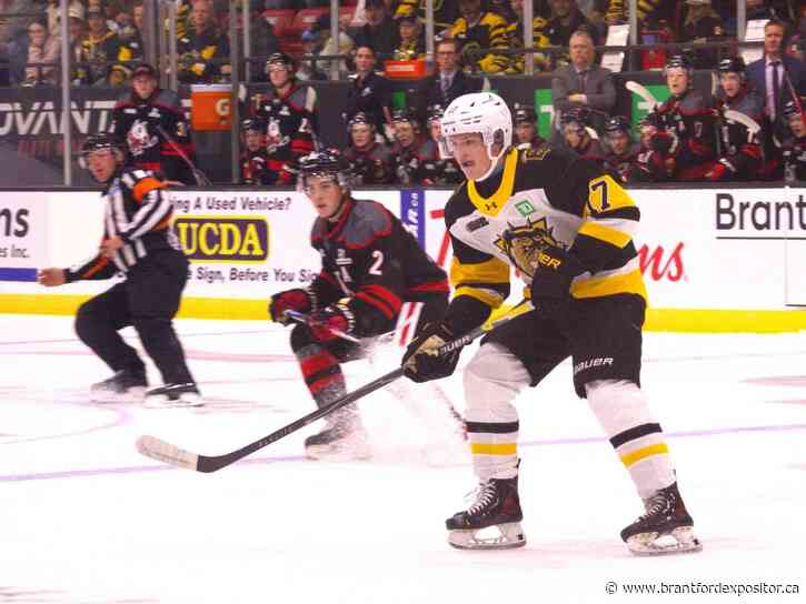 Xavier Lieb shines for Brantford Bulldogs in front of huge fan base
