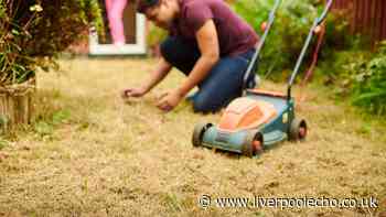 Lawns will revive and return to health with 1 key step before autumn arrives