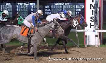 Gunnn comes out blazing to claim Gold Cup