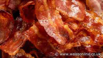 Bacon will be crispier and tastier if you ditch oil for 1 simple ingredient cook loves