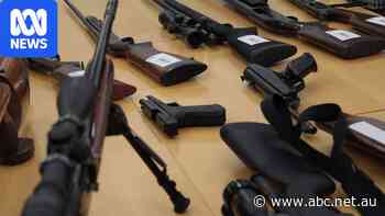 NSW Liberals pledge to scrap gun buyback amid election countdown