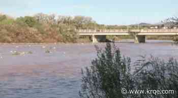 Consistent rain brings water flows back to the Rio Grande