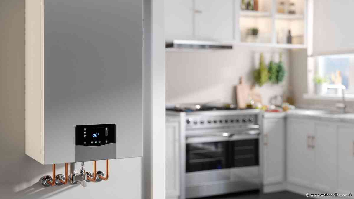 I'm cutting energy bills this winter by performing a 2-minute boiler task that'll still keep me warm