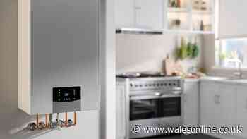 I'm cutting energy bills this winter by performing a 2-minute boiler task that'll still keep me warm