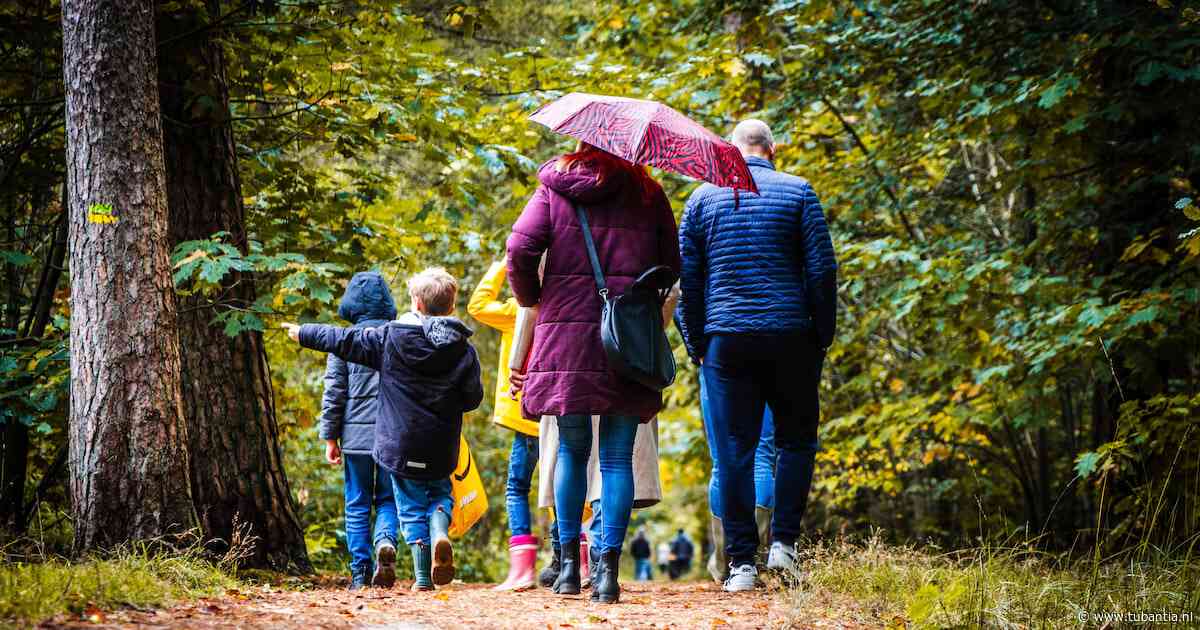 Wisselvallig weer houdt aan: zaterdag regen, zondag meer ruimte voor de zon