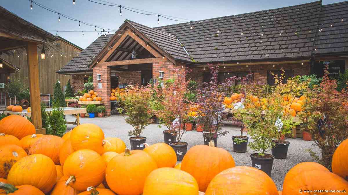 Top Cheshire farm shop issues 'kind customer notice' amid influencer popularity