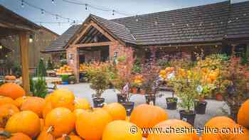 Top Cheshire farm shop issues 'kind customer notice' amid influencer popularity
