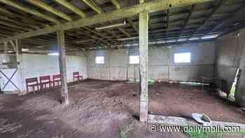 Outcry over new California halal 'kill floor' as planning board ignores locals pleas' to ban Islamic slaughterhouse
