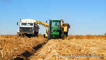 VS verwacht kleinste aardappeloogst sinds 2010