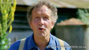 Monty Don's crucial September gardening job to guarantee fresh greens from autumn to spring