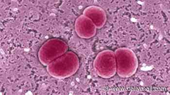 Aussies issued urgent health warning as child rushed to hospital with potentially deadly meningococcal disease