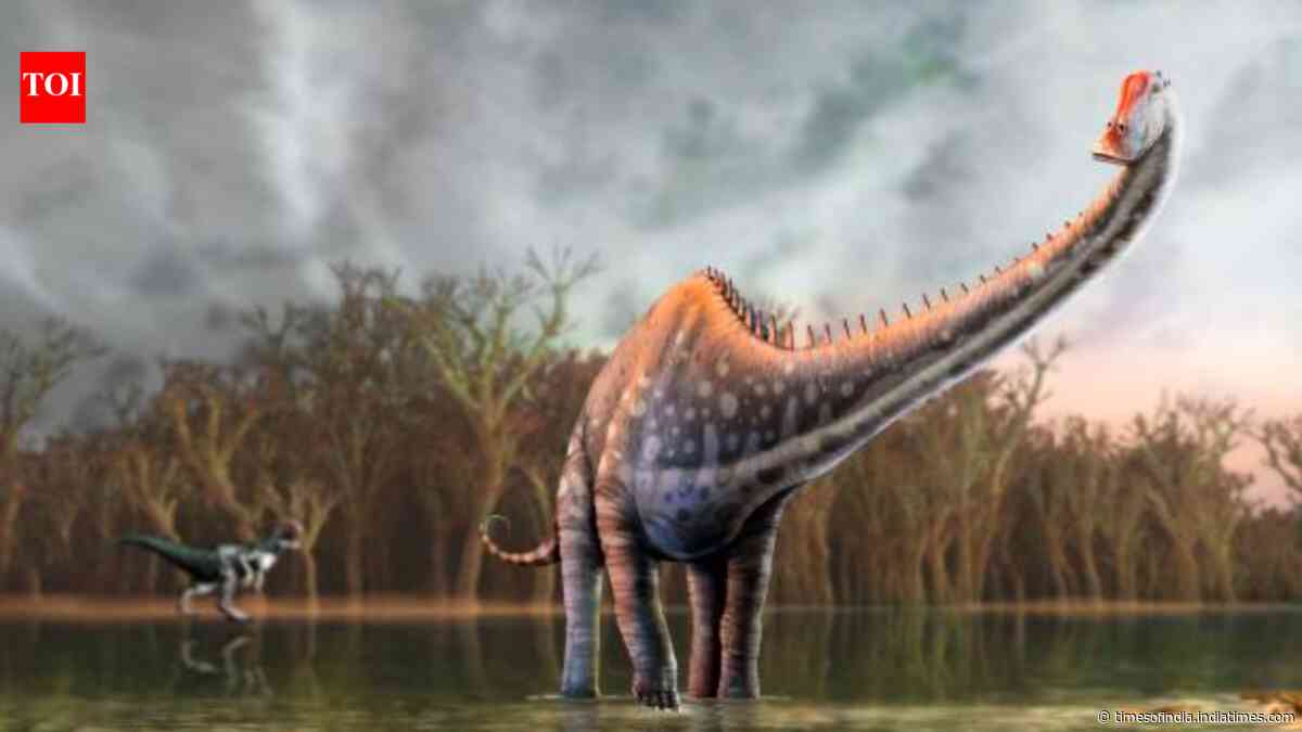 Fourteen tail vertebrae found in Spain replaces North America as the only Diplodocus site