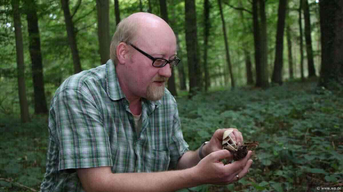„Je tiefer ich eintauchte, desto spannender wurde es“: Pilzexperte erlebt viele kuriose Dinge