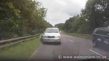 Innocent driver's 'life changed forever' after terrifying head-on crash in Caerphilly