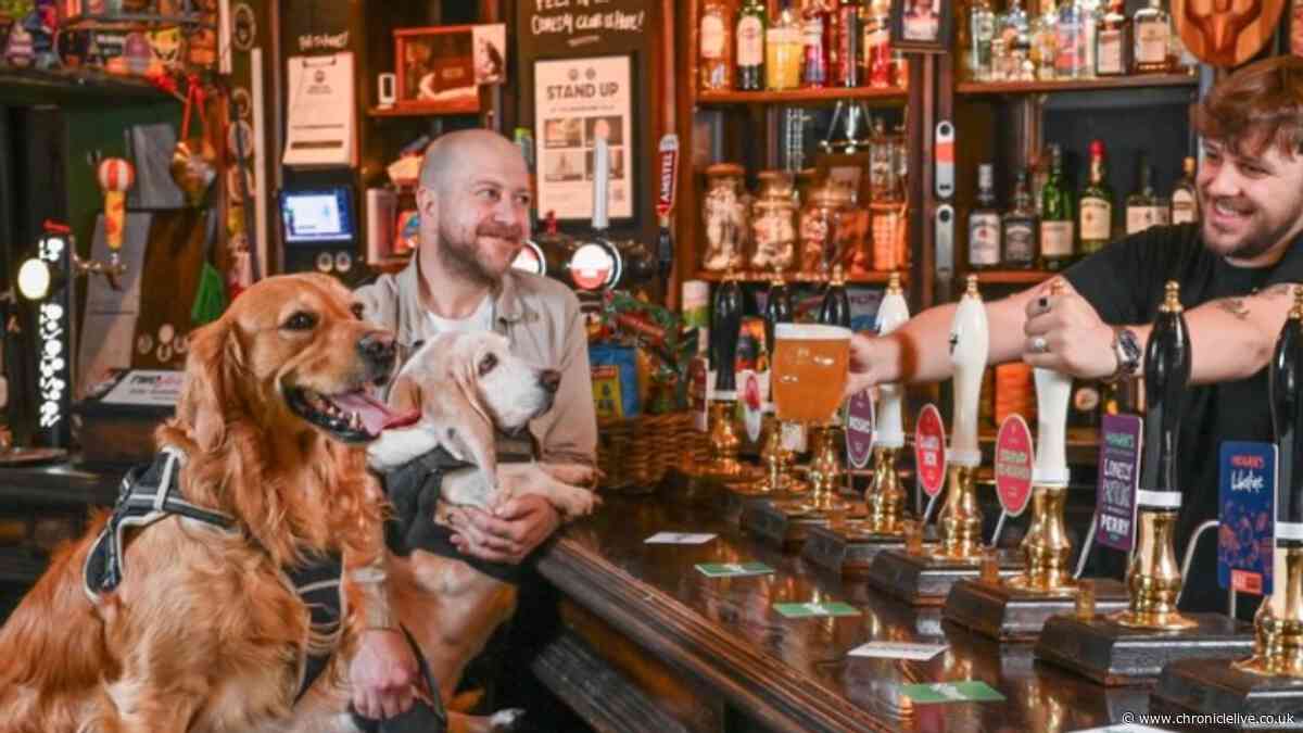 The best dog friendly pubs in the North East ranked as Newcastle boozer takes number 1