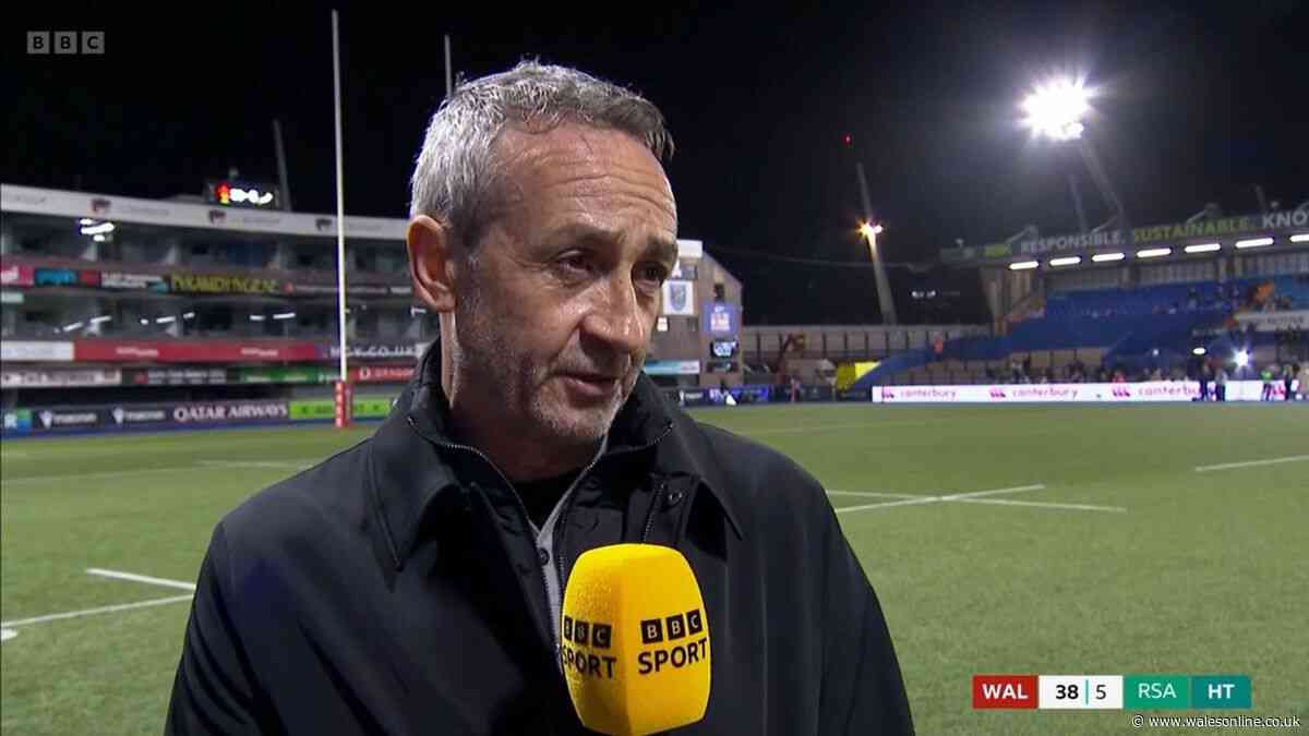 Dave Reddin breaks cover to call rugby summit over Scarlets and Ospreys future